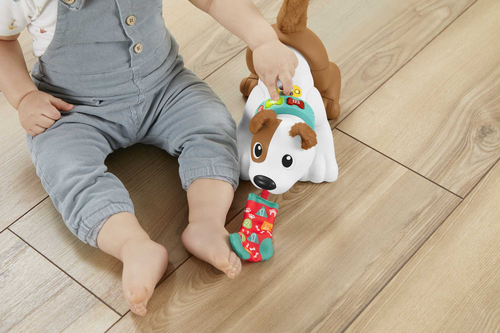 Đồ chơi vừa chơi vừa học Fisher-Price HGY57