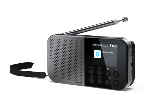 Radio Sharp DR-P520 cho cá nhân Kỹ thuật số màu xám