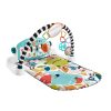 Thảm tập thể dục & chơi cho em bé Fisher-Price HWY54 Vải, Nhựa Đa màu sắc Tập thể dục cho em bé