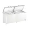 Haier HCE715E Tủ cấp đông Đặt riêng 696 L màu trắng