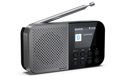 Radio Sharp DR-P520 cho cá nhân Kỹ thuật số màu xám