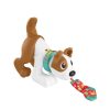 Đồ chơi vừa chơi vừa học Fisher-Price HGY57