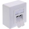 69463b2326970731cfd39dd1162c6ab5704e4224.jpg Hộp đấu dây điện InLine 76842A 2 x RJ-45 màu trắng
