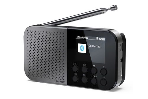 Radio Sharp DR-P520 cho cá nhân Kỹ thuật số màu xám