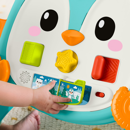 Xe tập đi Fisher-Price JHF74 Đa màu sắc
