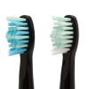 Đầu bàn chải điện Sogo ACC-SS-12347 2 chiếc màu đen