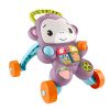 Xe tập đi Fisher-Price JGW92 Đa màu sắc