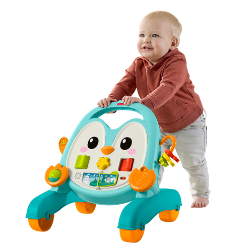 Xe tập đi Fisher-Price JHF74 Đa màu sắc