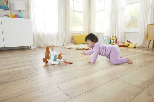 Đồ chơi vừa chơi vừa học Fisher-Price HGY57