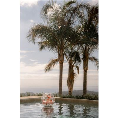 Bóng chơi trên biển Rubo Toys 2014448 Polyvinyl chloride (PVC) màu hồng