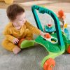 Xe tập đi Fisher-Price JKD63 Đa màu sắc