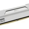 RAM - Bộ nhớ trong Klevv Bolt V 32 GB 2 x 16 GB DDR5 6000 MT/s 288-pin DIMM