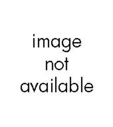 DVD trắng HP DVD+R media, 4.7 GB 1x-4x write-once disc