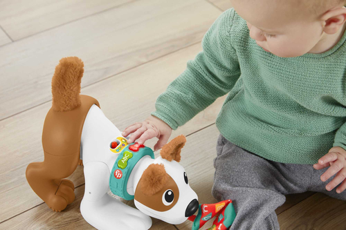 Đồ chơi vừa chơi vừa học Fisher-Price HGY57