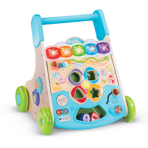 Xe tập đi VTech 80-619605 Đa màu sắc