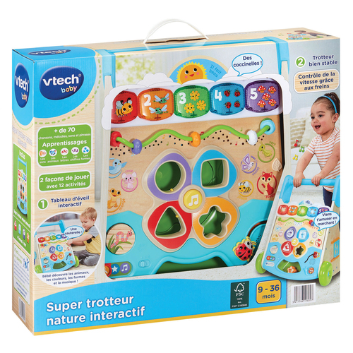 Xe tập đi VTech 80-619605 Đa màu sắc