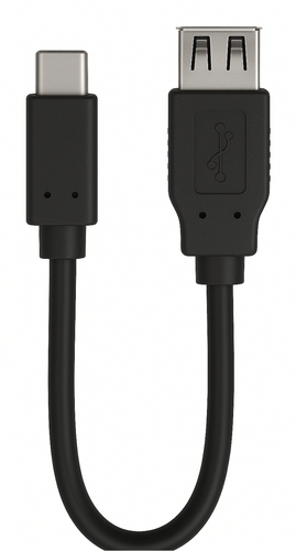 Cáp USB Ewent EC1039 USB 2.0 0,15 m USB A USB C 0,48 Gbit/s màu đen